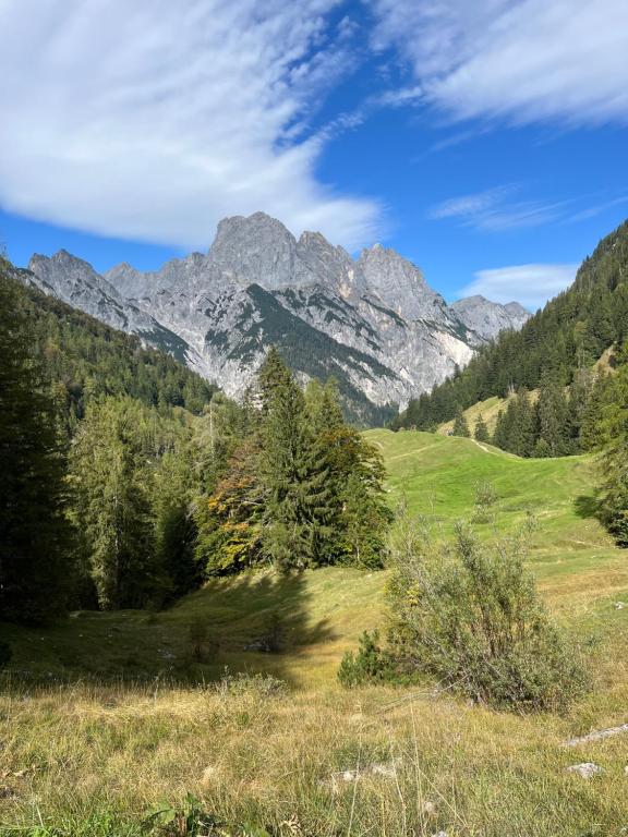 Almwiese im Klausbachtal mit Mühlsturzhörnern
