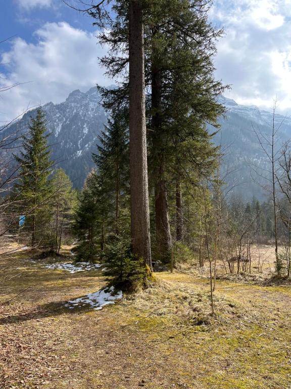 Wanderweg bei der Wohnung
